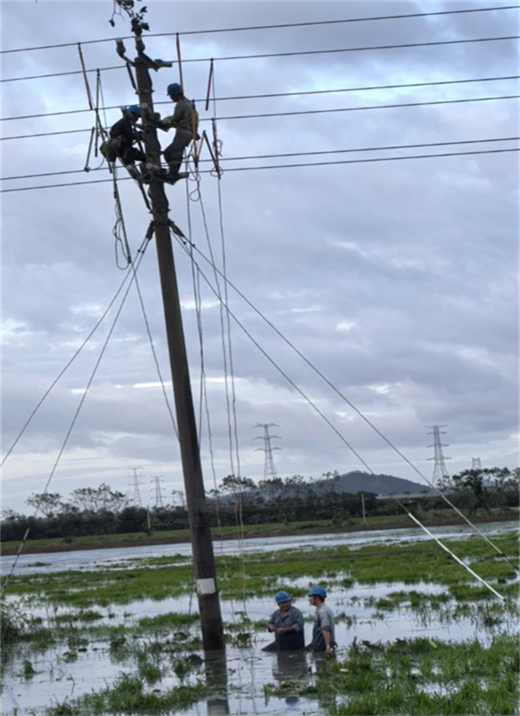 微信圖片_20251113151158_64_5